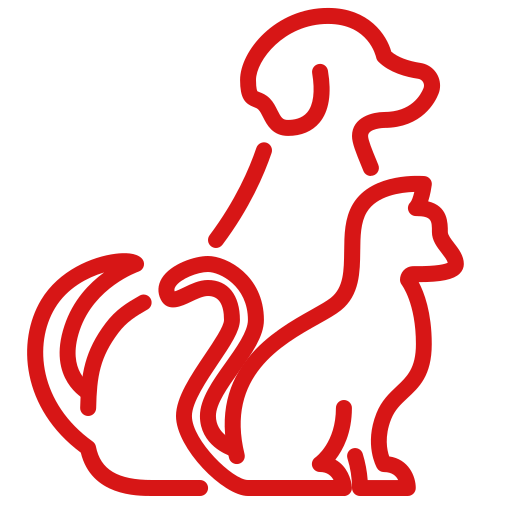 Pet